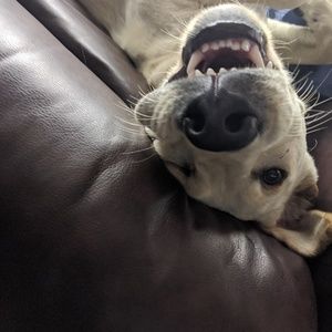 Meet your Posher, Tracy